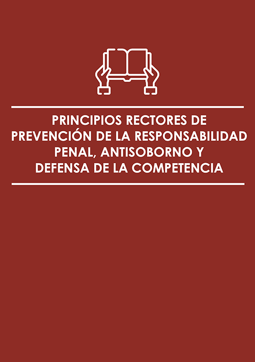 principios rectores